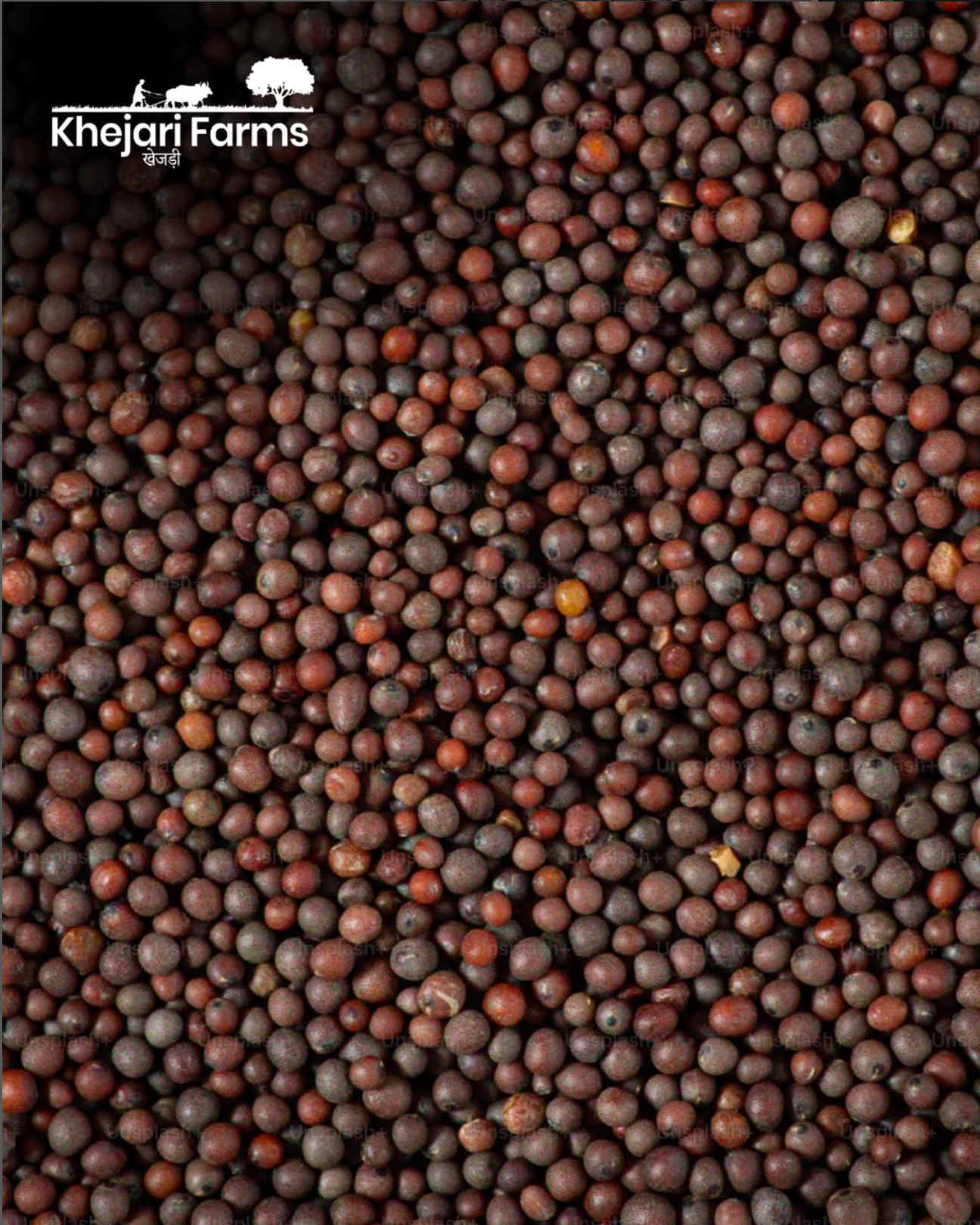 Cold Pressed Black Mustard Oil